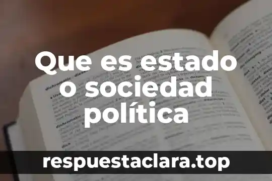 Que es estado o sociedad política