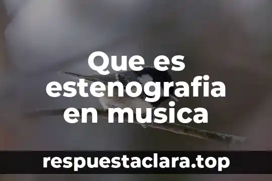 Que es significa musica 8 Que es estenografia en musica