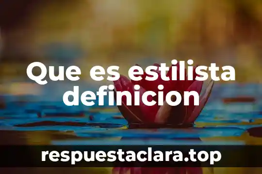 Que es estilista definicion