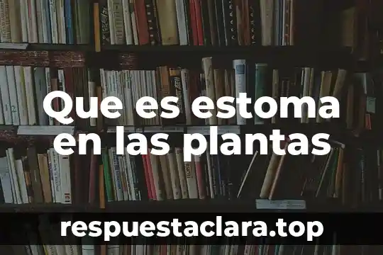 Que es estoma en las plantas