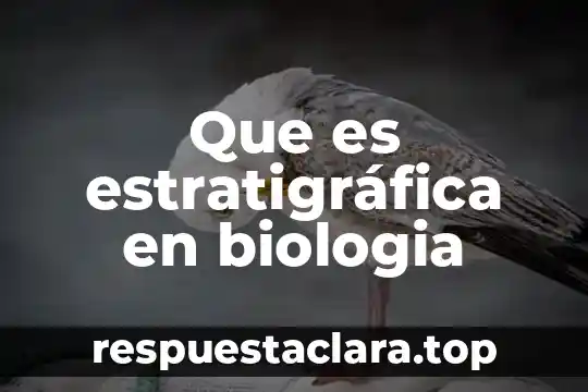 Que es estratigráfica en biologia