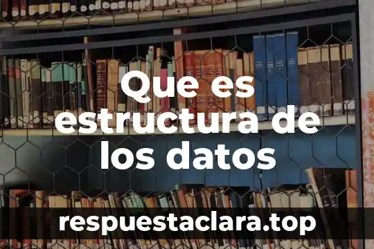 Abstracción de base de datos estándar que es 6 Que es estructura de los datos