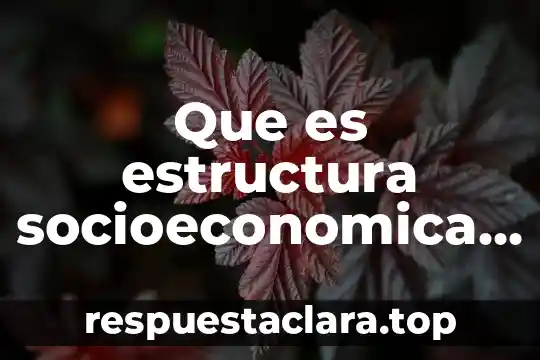Que es estructura socioeconomica y politica de mexico