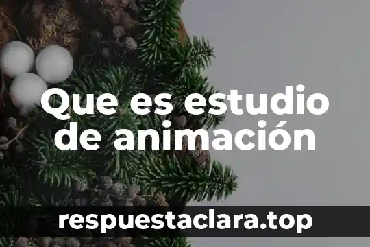 Que es estudio de animación