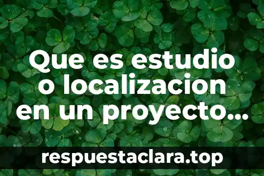 Que es estudio o localizacion en un proyecto de investigacion
