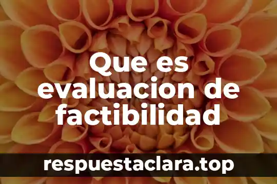 Que es convincente significado 7 Que es evaluacion de factibilidad