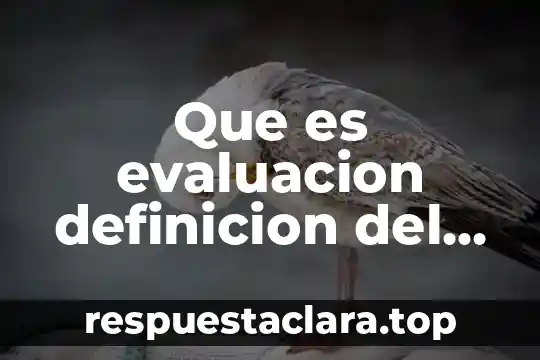 Que es arte diccionario real academia española 7 Que es evaluacion definicion del diccionario dela real academia española