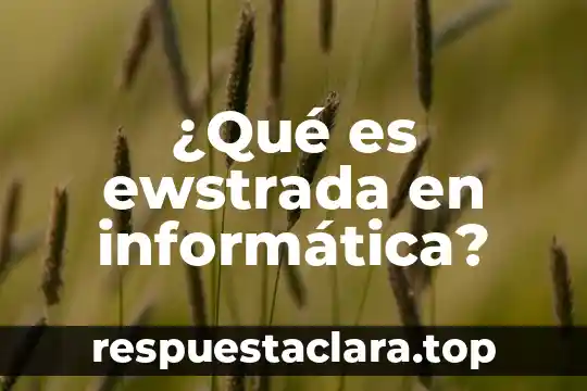 Que es generacion informatica 6 ¿Qué es ewstrada en informática?