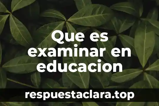 Que es examinar en educacion