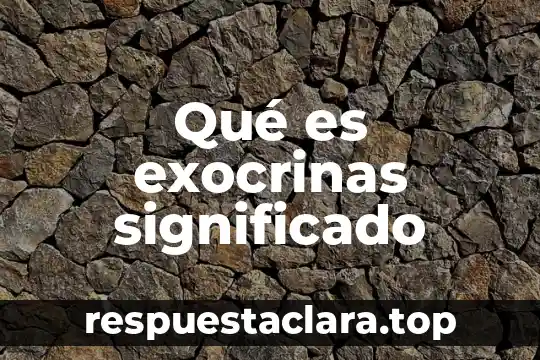 Que es barandilla significado 5 Qué es exocrinas significado