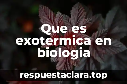 Que es exotermica en biologia