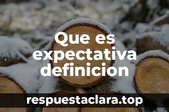 Que es expectativa definicion