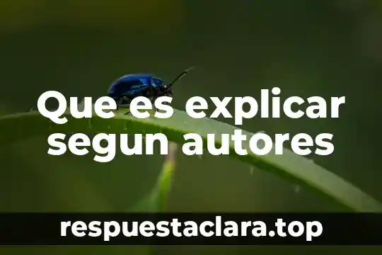 Que es explicar segun autores
