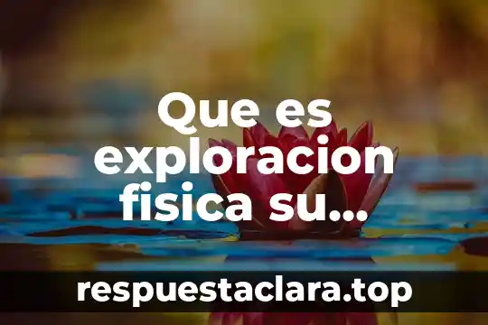 Por que es impoertante la exploracion para la sociedad 6 Que es exploracion fisica su objetivo