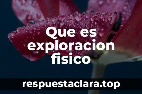 Por que es impoertante la exploracion para la sociedad 5 Que es exploracion fisico