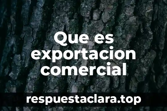 Batalla comercial que es 6 Que es exportacion comercial