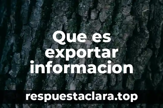Que es exportar informacion