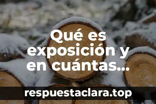 Qué es exposición y en cuántas partes se divide
