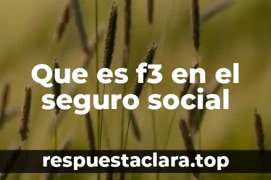 Que es f3 en el seguro social