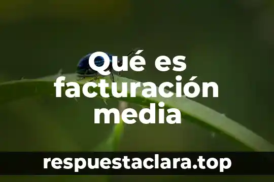Compaqi star significa que es sistema de facturacion 7 Qué es facturación media