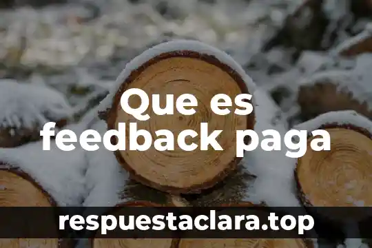 Que es feedback paga
