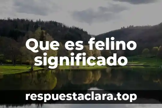 Qué es el sistema de arranque de un vehículo significado 3 Que es felino significado