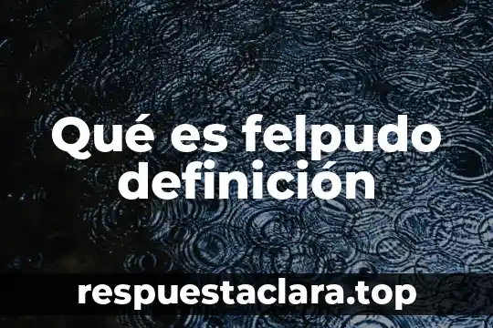 Que es un la figura del comerciante 7 Qué es felpudo definición