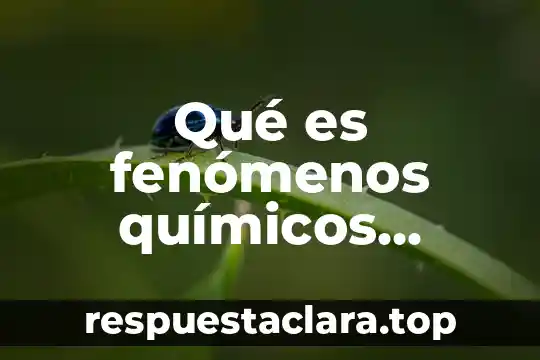 Qué es fenómenos químicos naturales