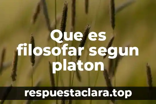 Que es filosofar segun platon