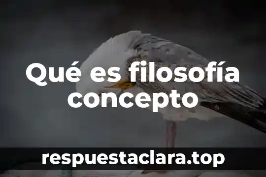 Qué es filosofía concepto