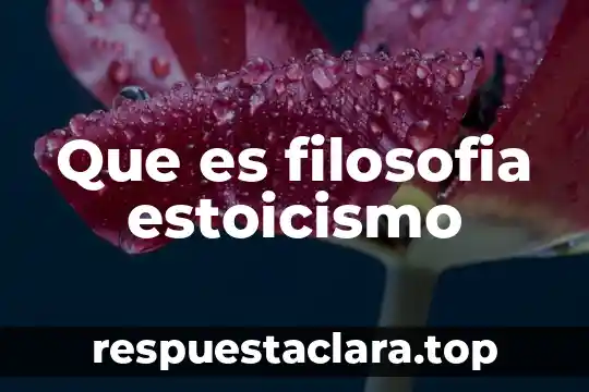 Que es filosofia estoicismo
