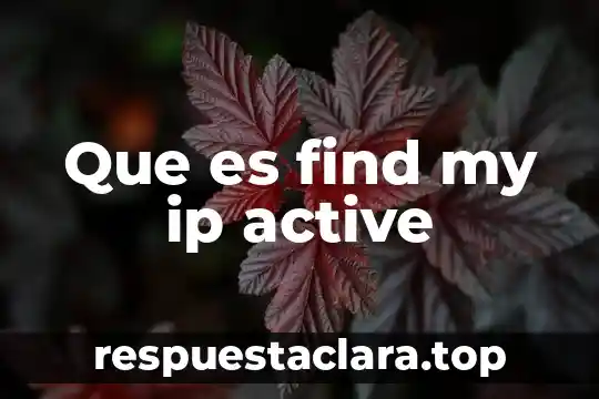 Que es ip y quien asigna los numeros 7 Que es find my ip active