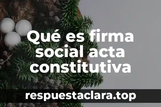 Qué es una firma no electrónica 8 Qué es firma social acta constitutiva