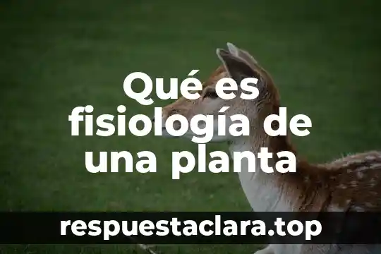 Que es adventicia de la planta 3 Qué es fisiología de una planta