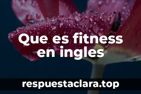 Que es una piraña en ingles 8 Que es fitness en ingles