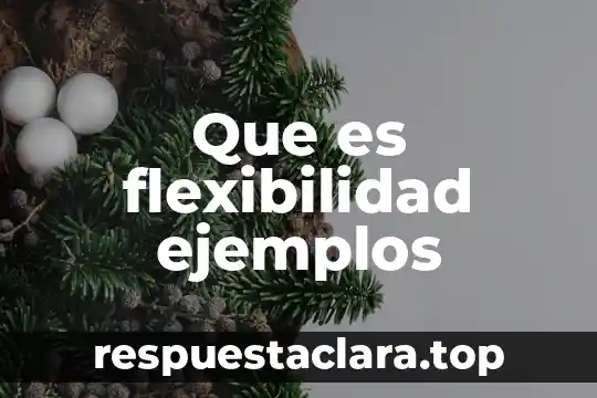 Que es flexibilidad ejemplos