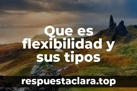 Que es flexibilidad y sus tipos