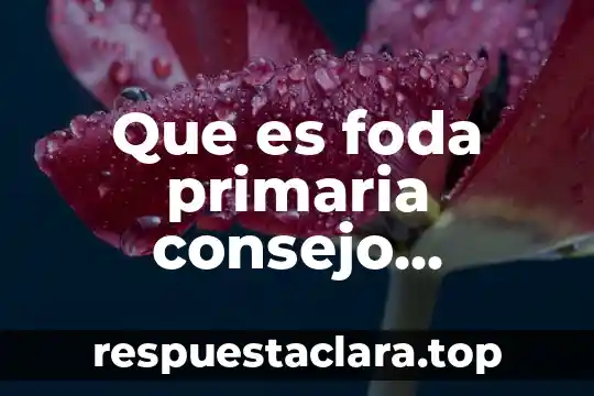 Que es produccion de obras de arte 4 Que es foda primaria consejo tecnico