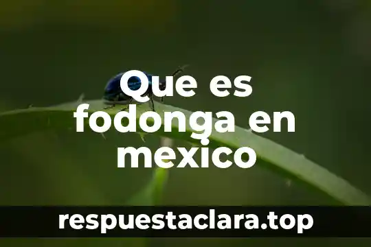 Qué es un logotipo y cómo se diseña 3 Que es fodonga en mexico