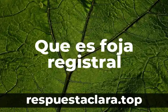 Que es foja registral