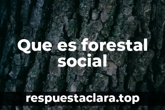 Que es forestal social