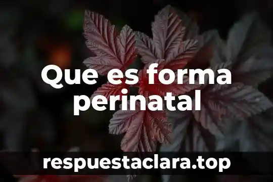 Que es forma perinatal