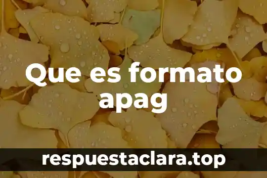 Que es formato apag