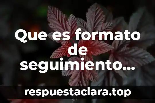 Que es formato de seguimiento del alumno