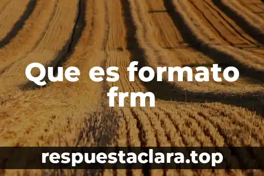 Que es un formato autogestivo 3 Que es formato frm