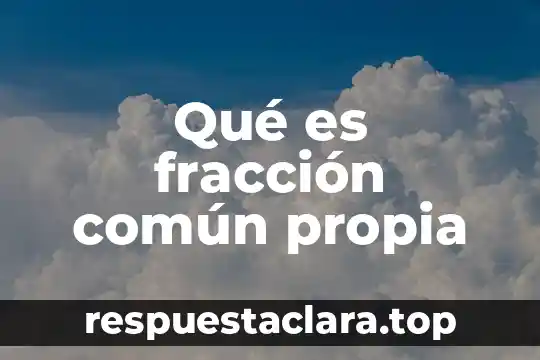 Que es una fracción y su definición corta 7 Qué es fracción común propia