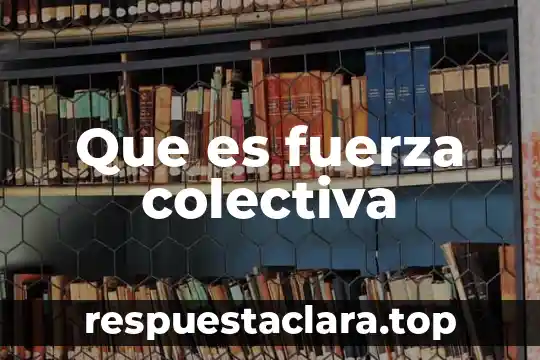 Que es una sociedad colectiva y una sociedad anonima 3 Que es fuerza colectiva