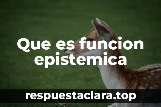 Que es funcion epistemica