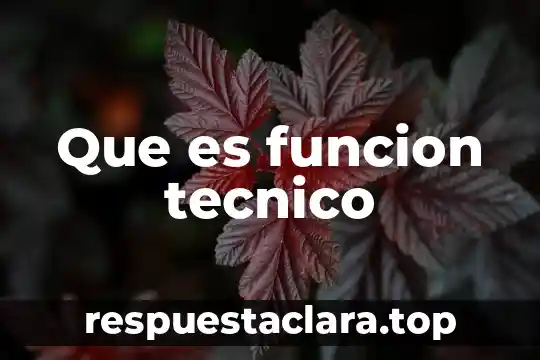 Que es funcion tecnico