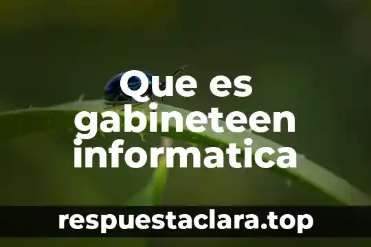 Que es gabineteen informatica